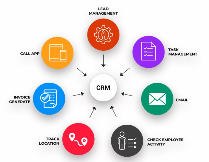 Role of CRM in Enhancing Sales Team Efficiency