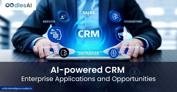 Personalize Customer Journeys with AI-Powered CRM