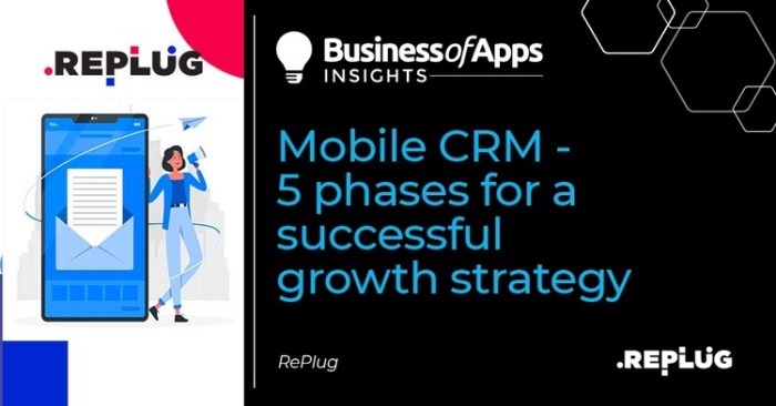 Crm growth business use