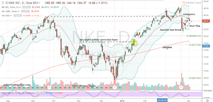 Nike inc stock nke year nyse history composite against percentage represent respective changes prices over time