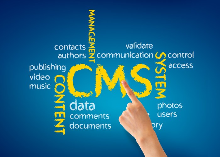 Management systems system cms simplifying complex part application website create used software