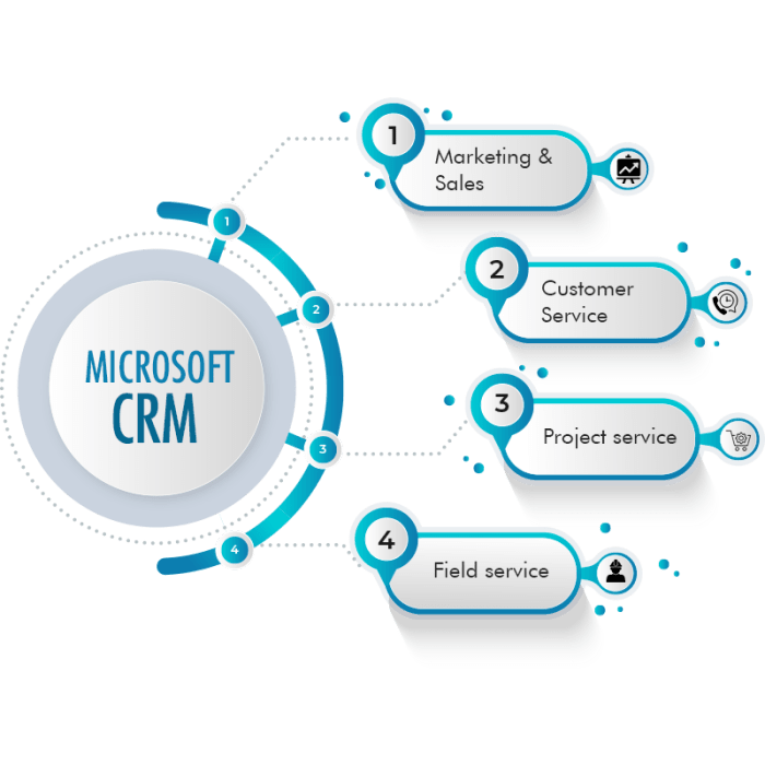 Crm dynamics