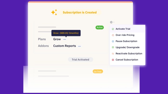 Chargebee administrators subscriber easily aspect