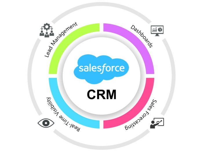 Salesforce crm software management relationship customer data demand transitioned business